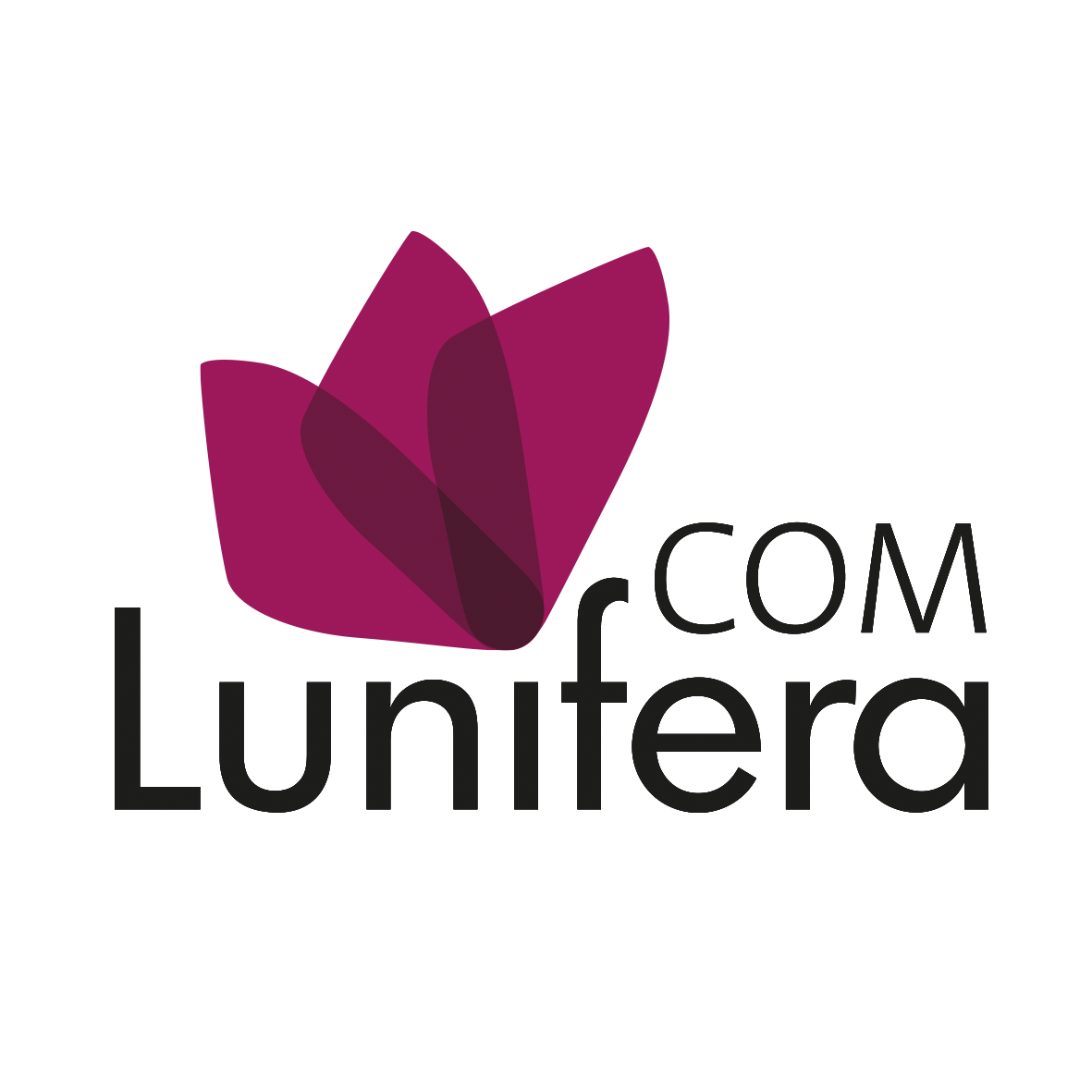 Lunifera GmbH